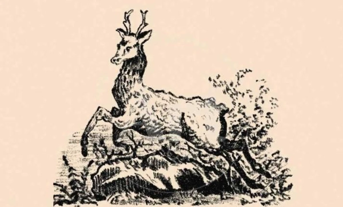 Foto: jagranjosh.com