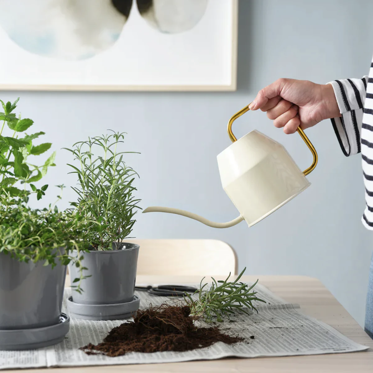 ikea Kanta za zalijevanje, 9,99€