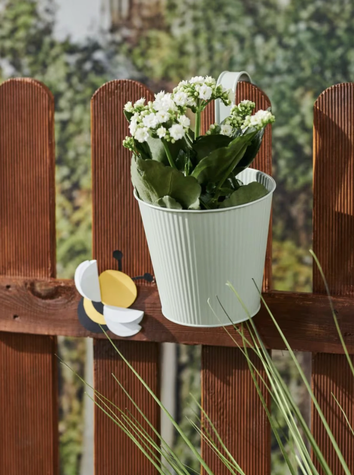 sinsay Tegla za biljke, 2,49 EUR