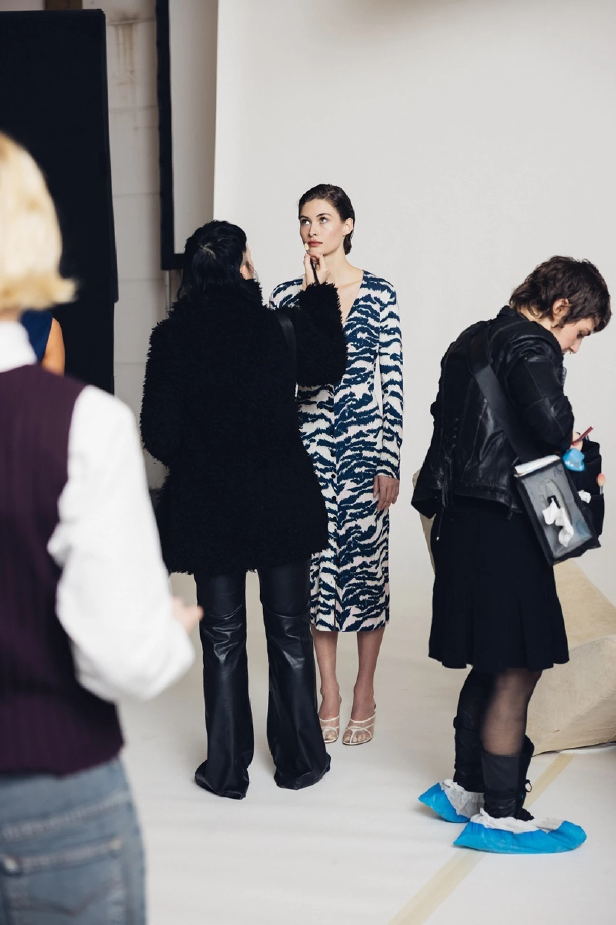 Diane von furstenberg x zalando