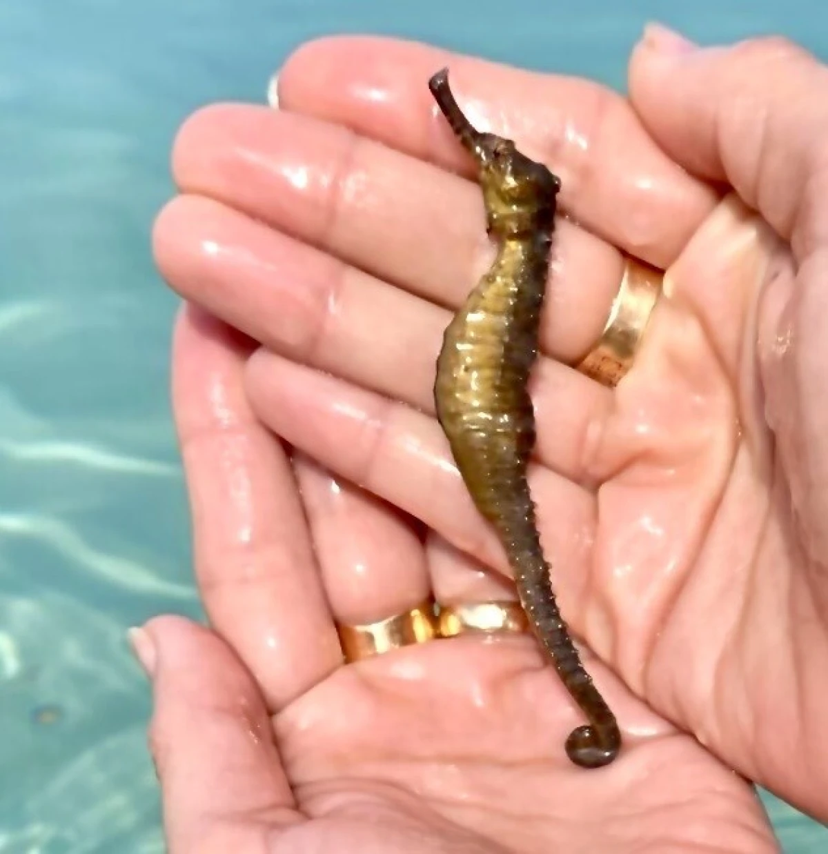 Filipini/privatna arhiva 