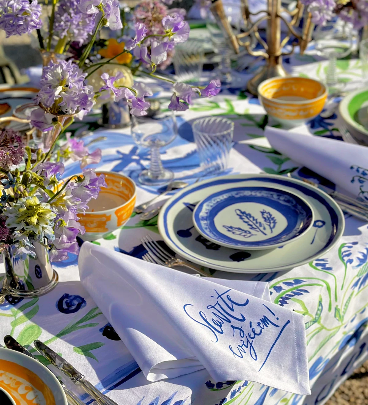 sve vam cvalo/Merla x saša šekoranja 