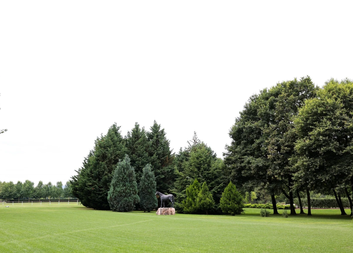 KAS event & club centar