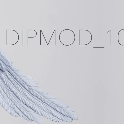 DIPMOD10