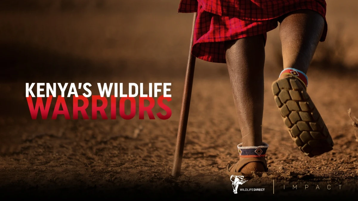 kenyas wildlife warriors