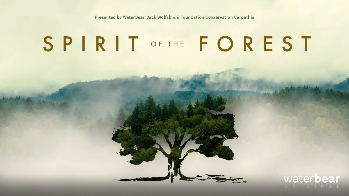 spirit of the forest