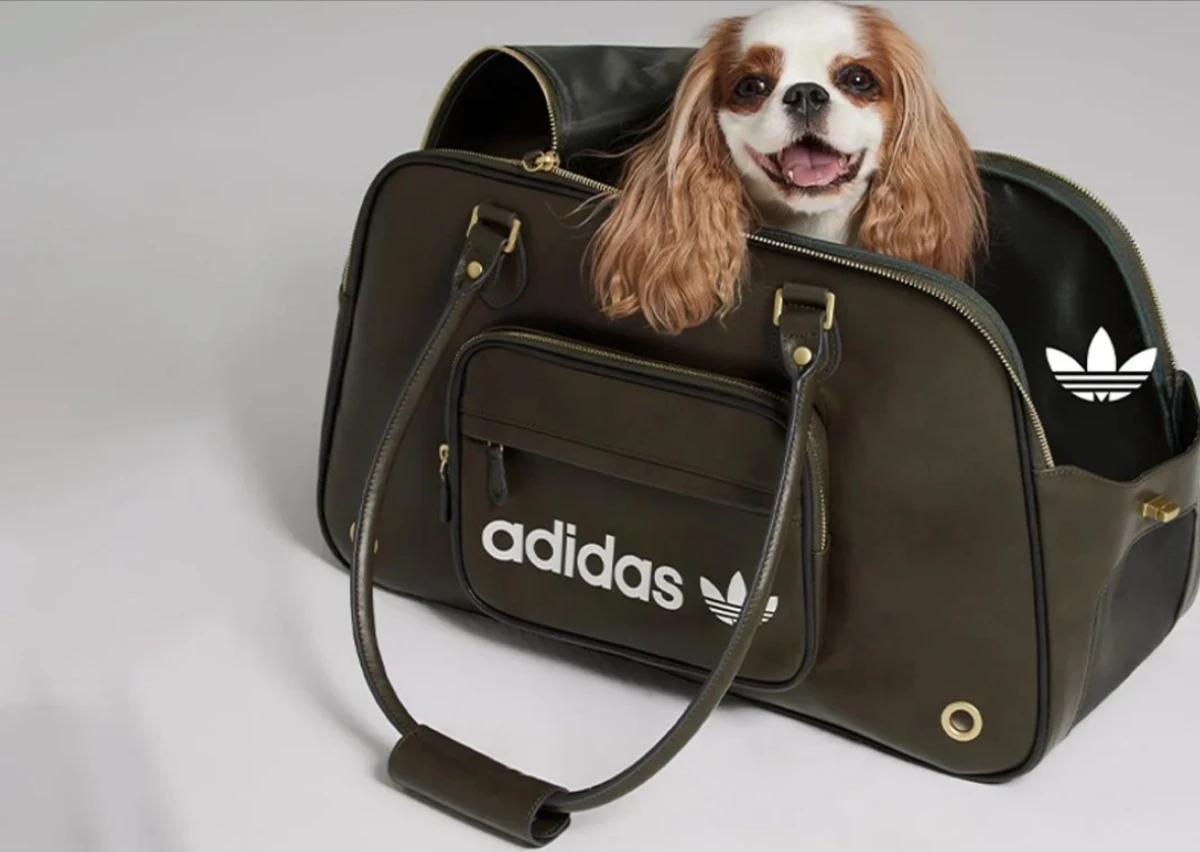 Adidas pets