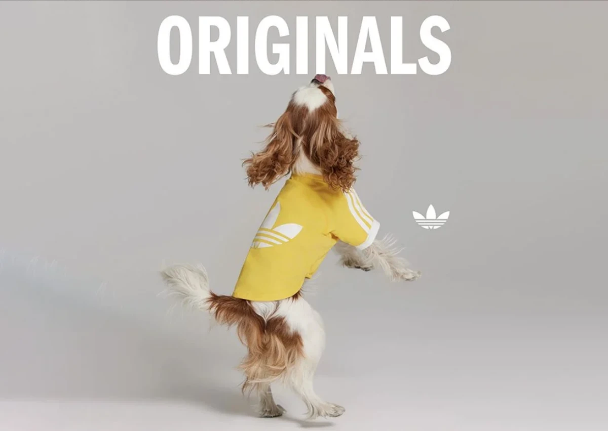 Adidas pets