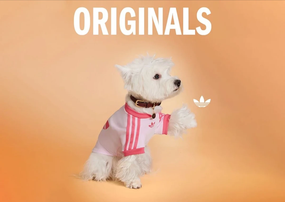 Adidas pets