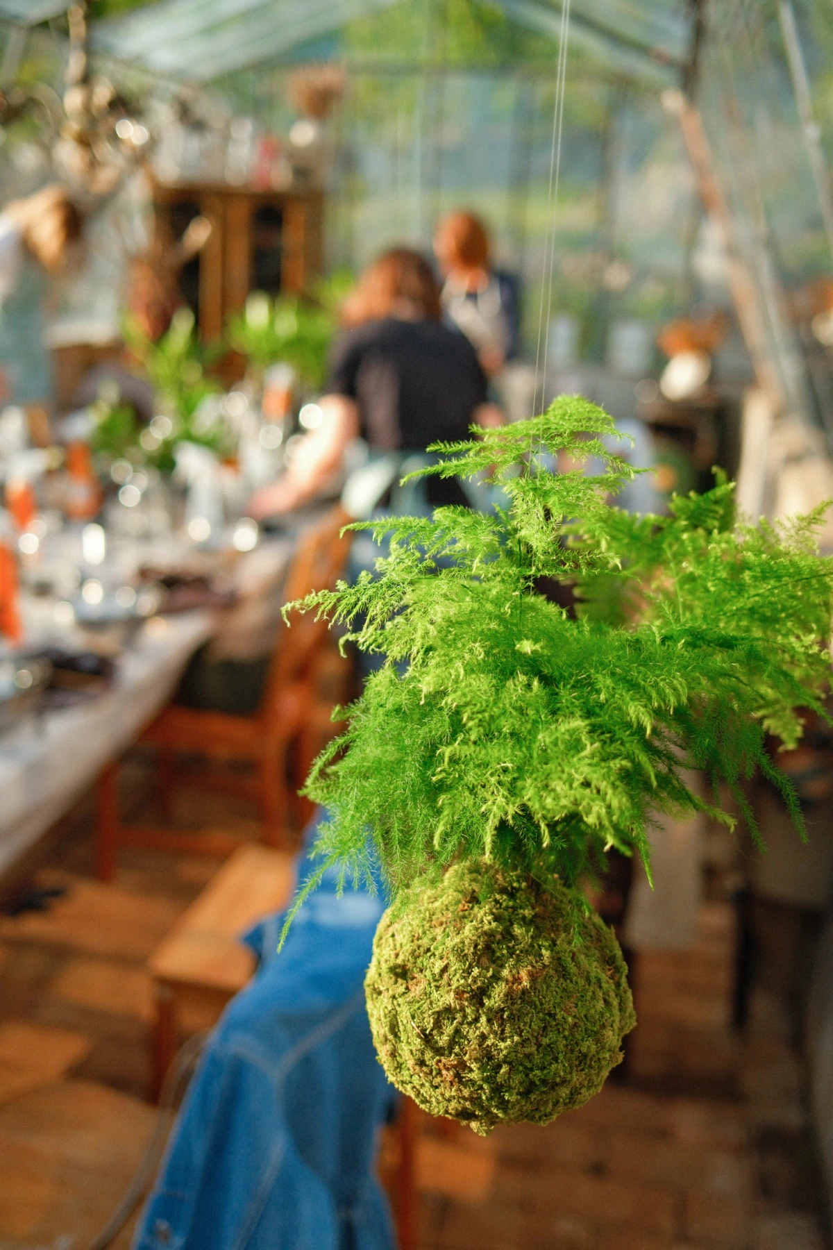 Radionica izrade kokedama