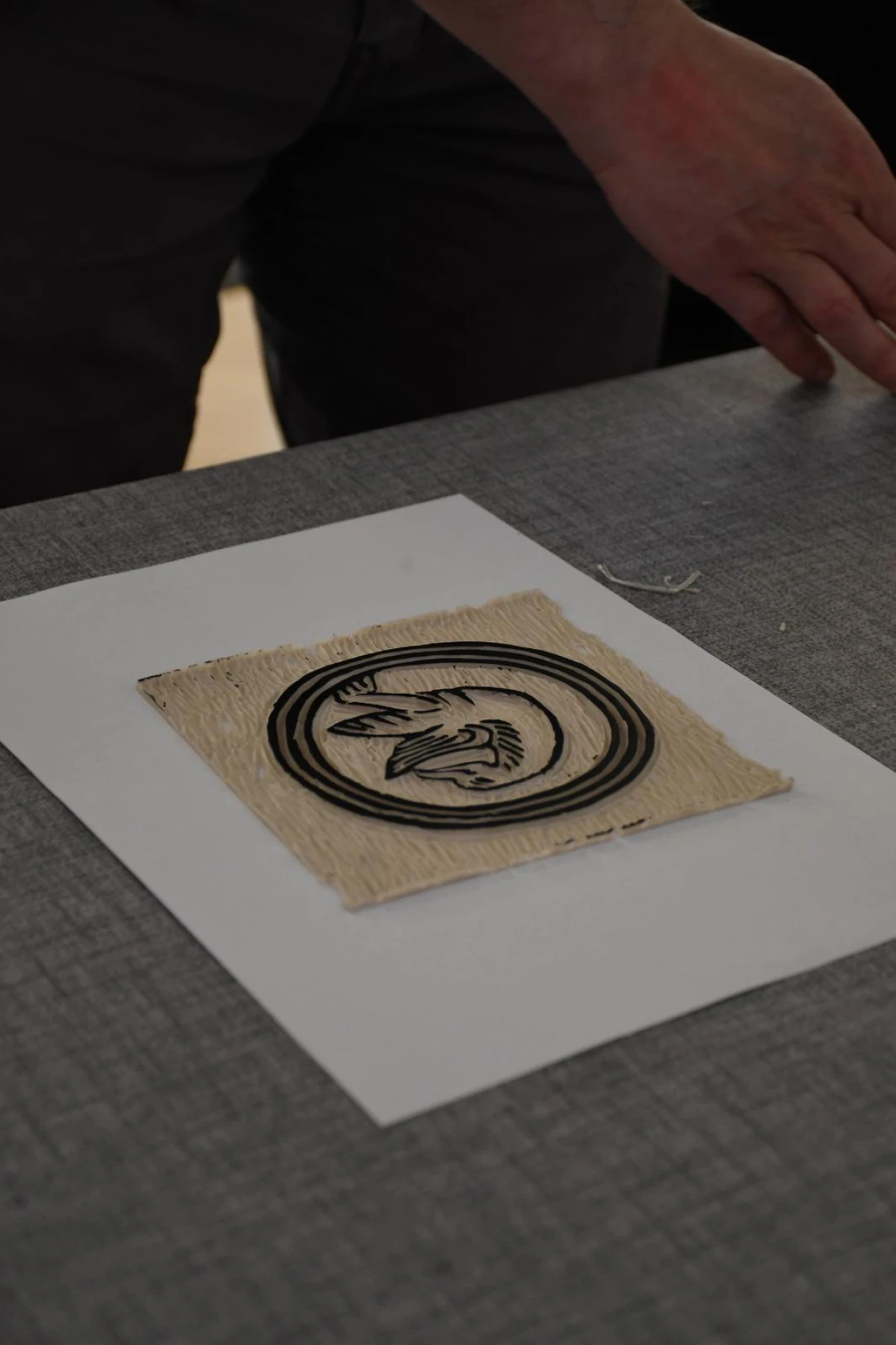 lexalex studio x arheološki muzej zadar