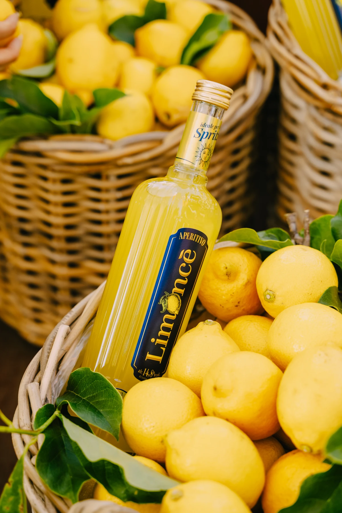 Sandro Sklepić/Gordan Svilar