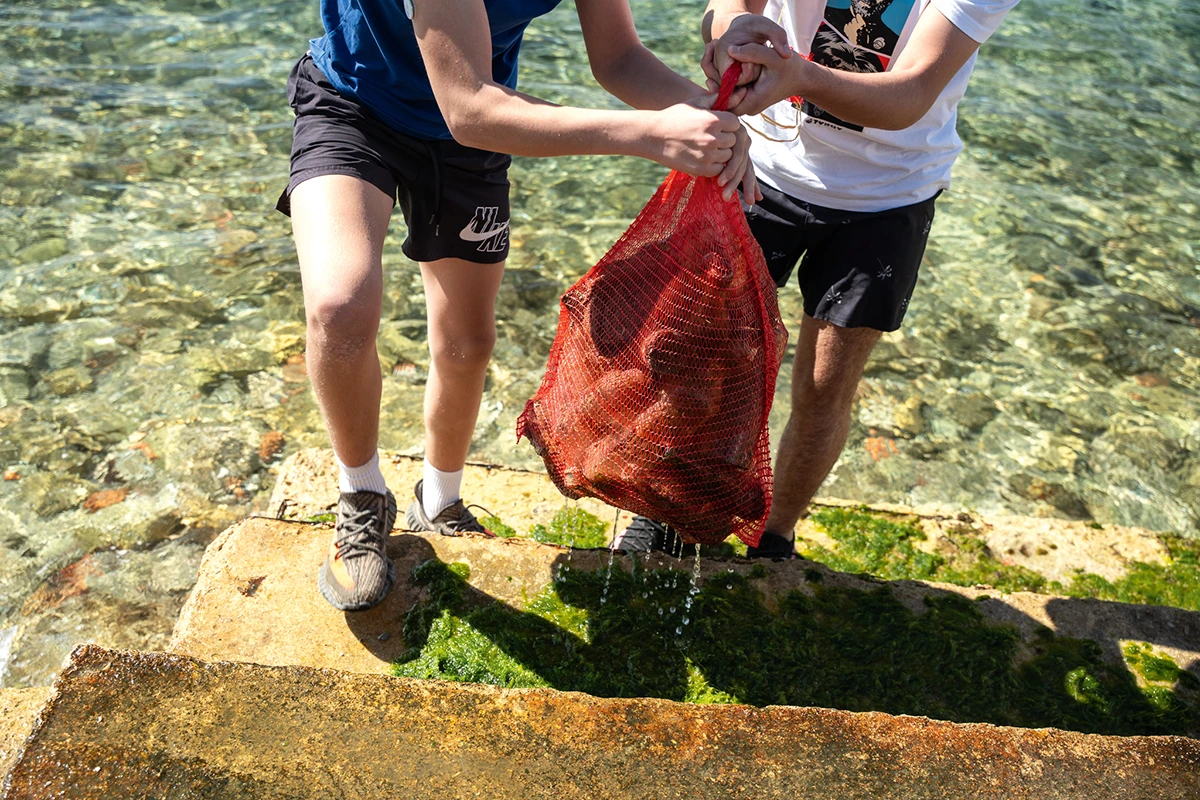 Projekt Sretno More/Zadar