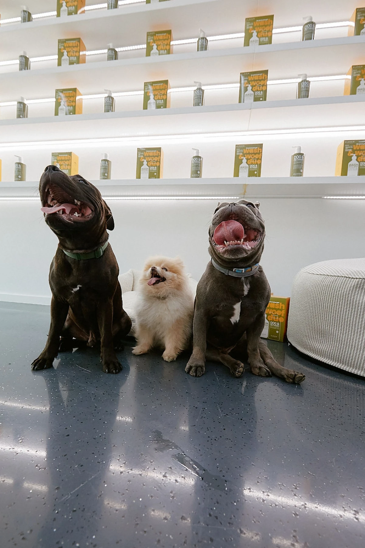 eleven Australia duo wash and woof