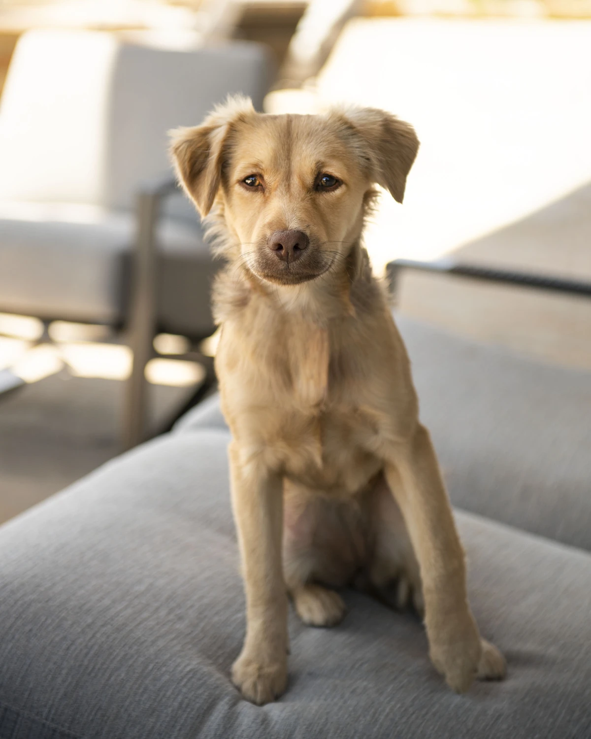 Fotografije: Dan Piassick, Dizajn:Allen Kirsch, Arhitekt: Doug MacFarlane