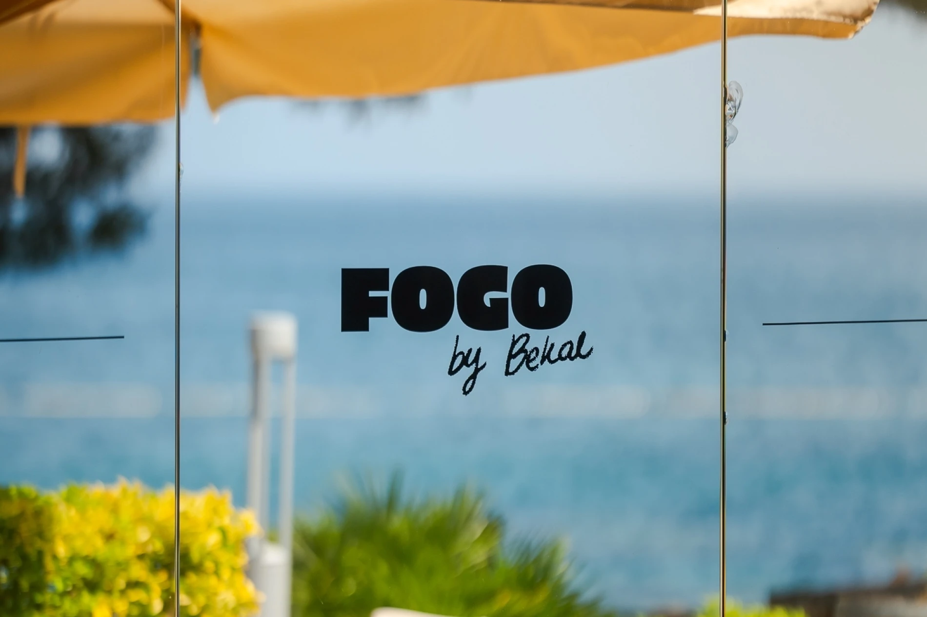 Fogo by Bekal