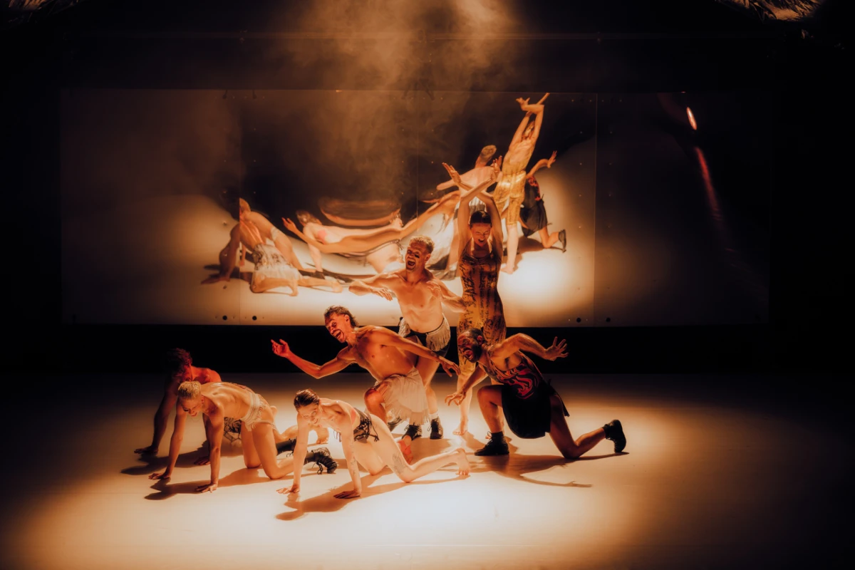 Rage Against Various Elements 