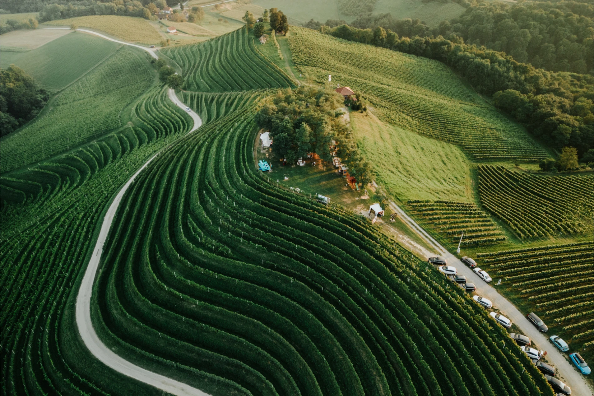 Što nas očekuje na petom izdanju festivala Jazz u vinogradu?