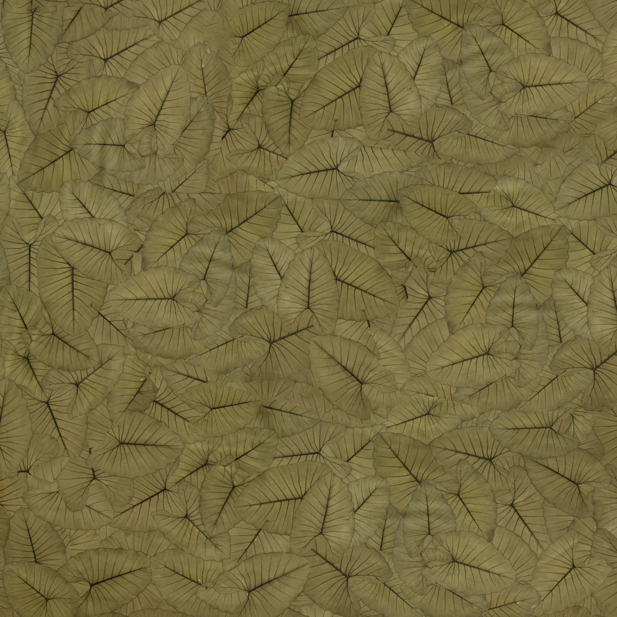 Kad prostor dobije karakter, teksturu i miris - to moraju biti organoidi