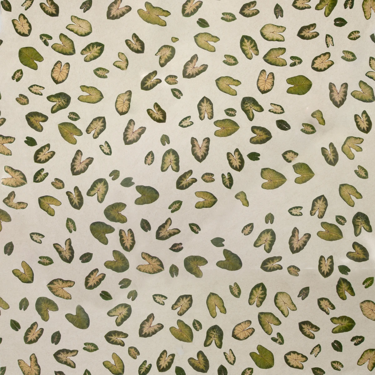 Kad prostor dobije karakter, teksturu i miris - to moraju biti organoidi