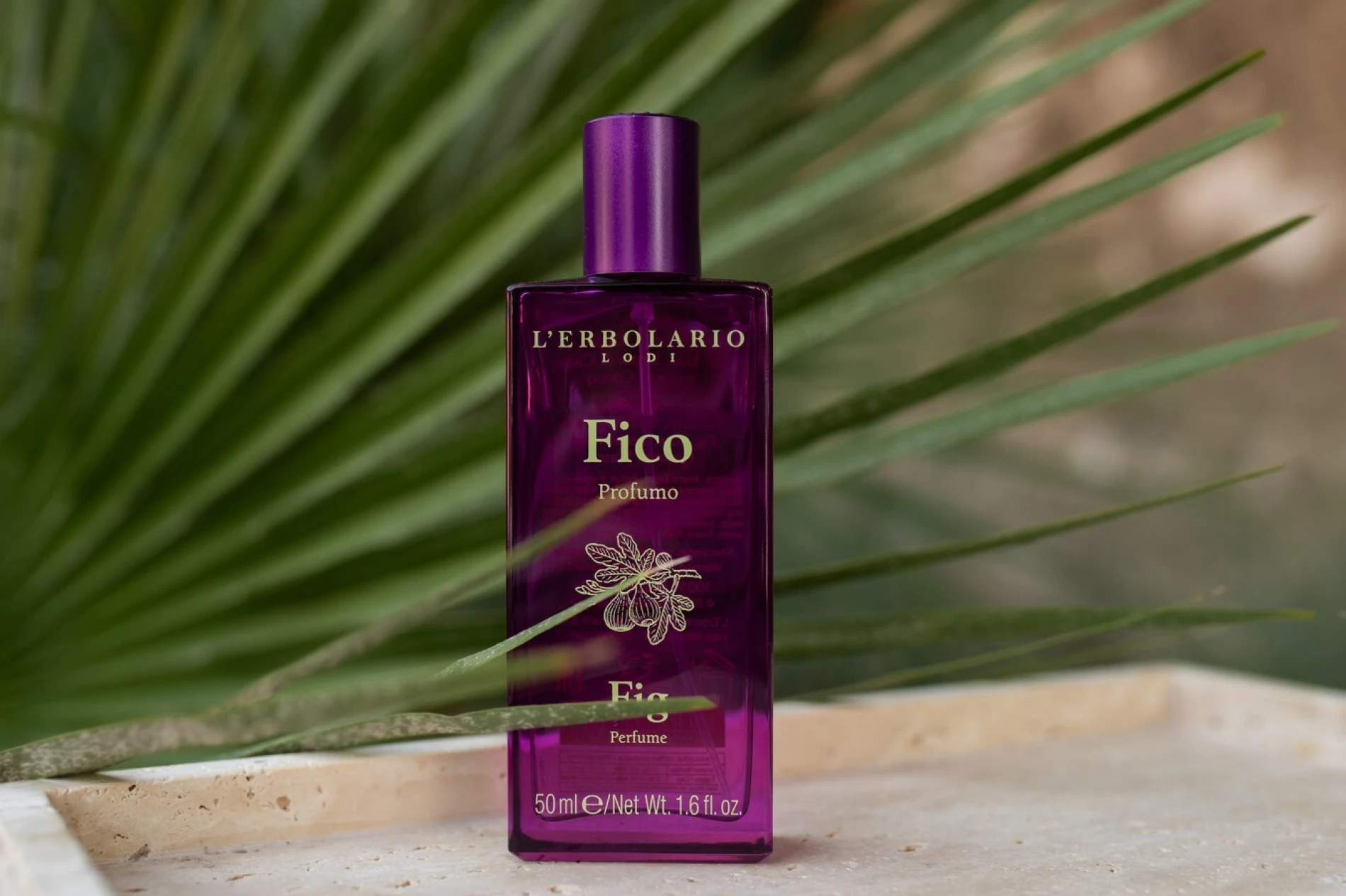 Volite miris smokve? Pronašli smo savršen ljetni parfem za vas!