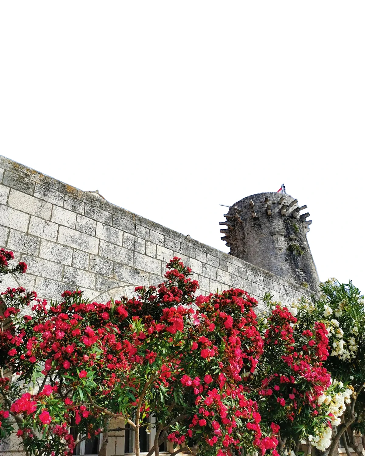 Krstarenje Jadranom: Ljetni odmor za dušu i tijelo