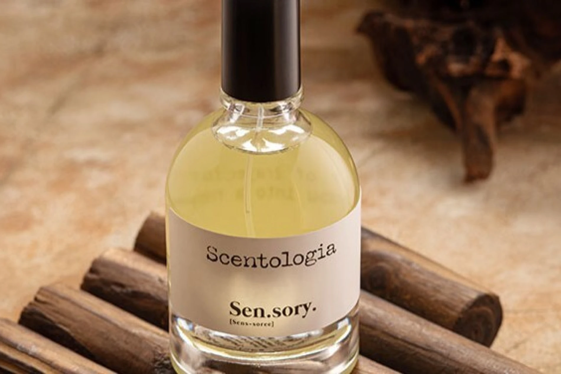 Balans toplih i hladnih nota: Ovaj parfem bi mogao postati naš novi favorit