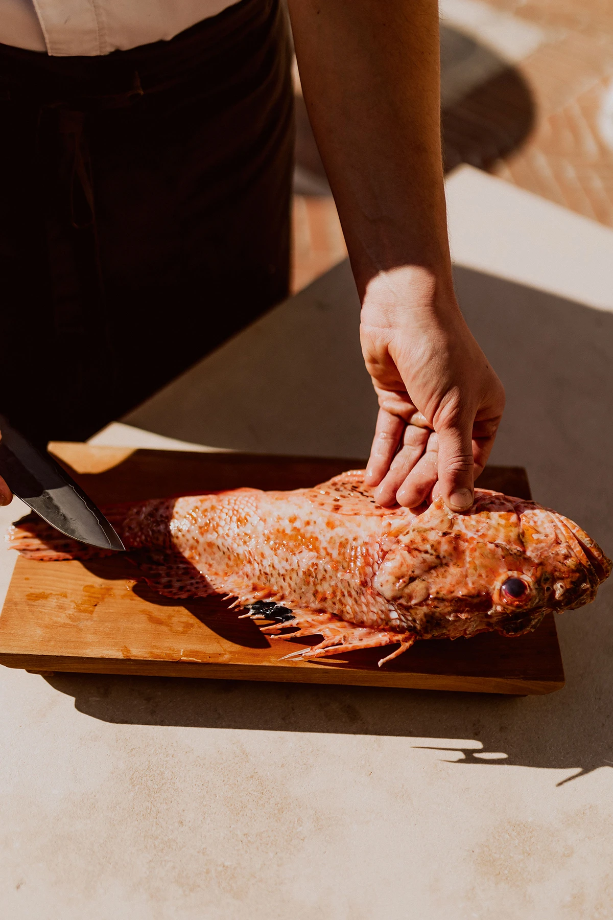 Razgovarali smo s nagrađivanim chefom restorana Pelegrini o jedinstvenom gastro iskustvu na Jadranu