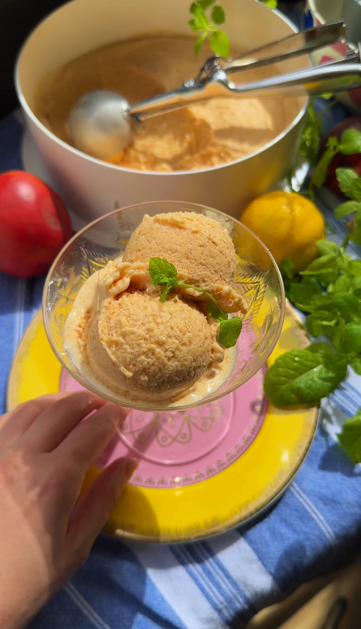 Breskva ili kokos? Isprobajte dva jednostavna recepta Maje Jalšovec za domaći sladoled