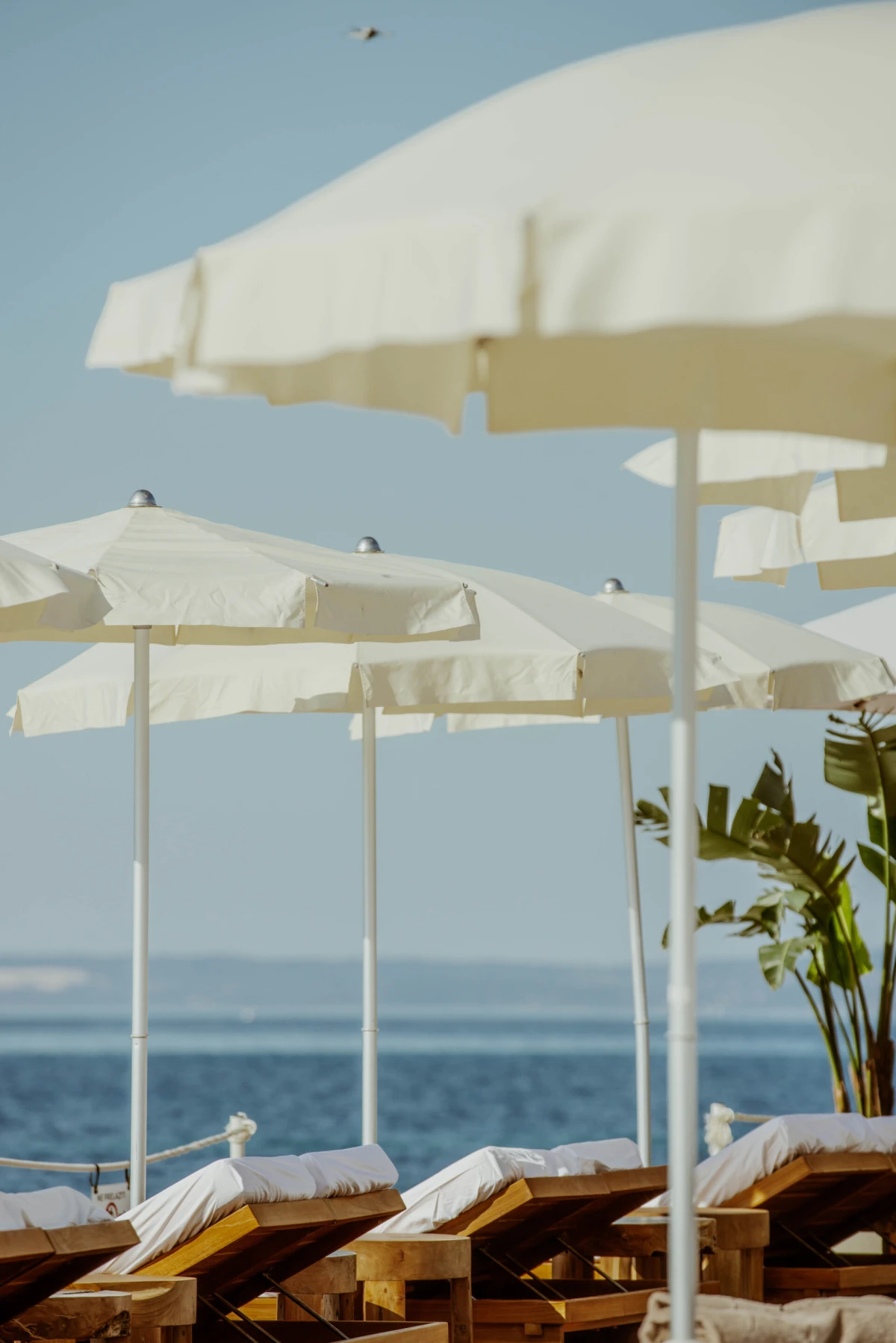 Doživite jadransku eleganciju u Mistral Beach Clubu – najpoželjnijem ljetnom mjestu u Splitu