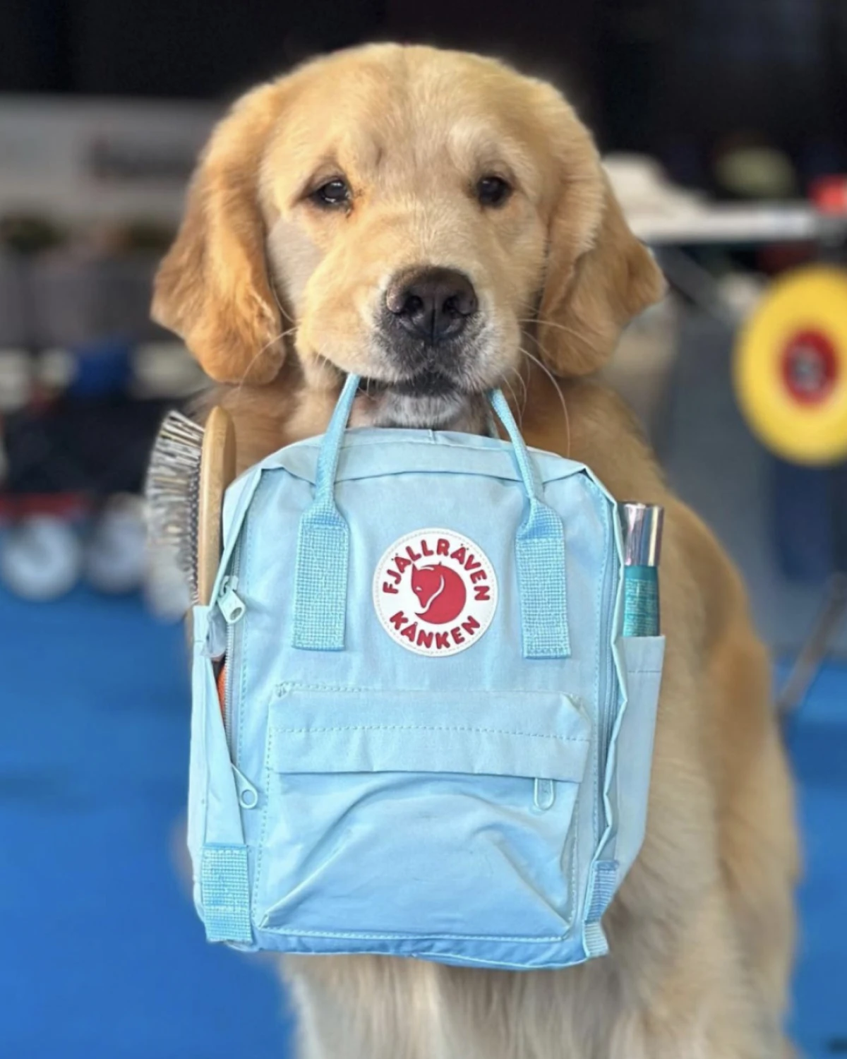 Kultne Kanken ruksake i druge Fjällräven komade sada možete kupiti u Zagrebu!