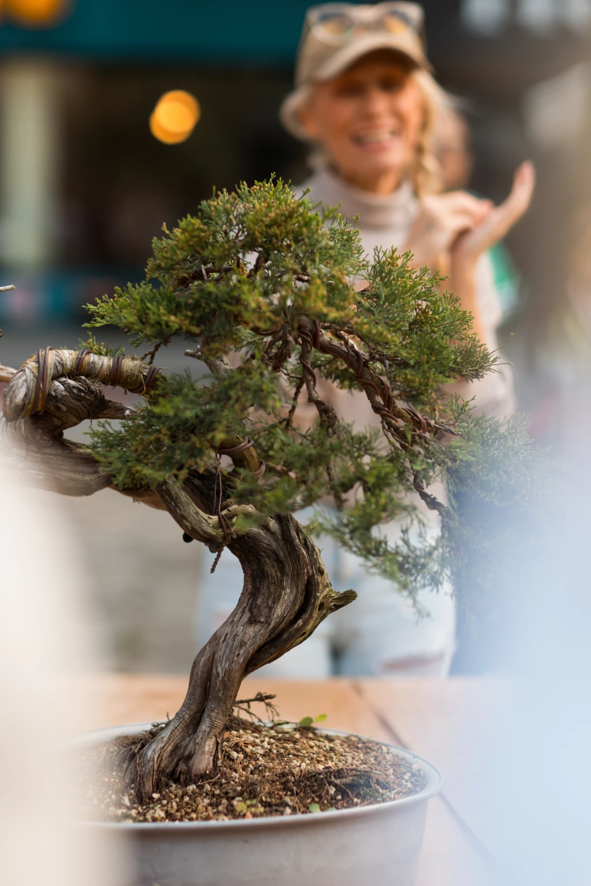 Lexus donio duh Japana u središte Zagreba – Park Martićeva postao oaza kulture i tradicije