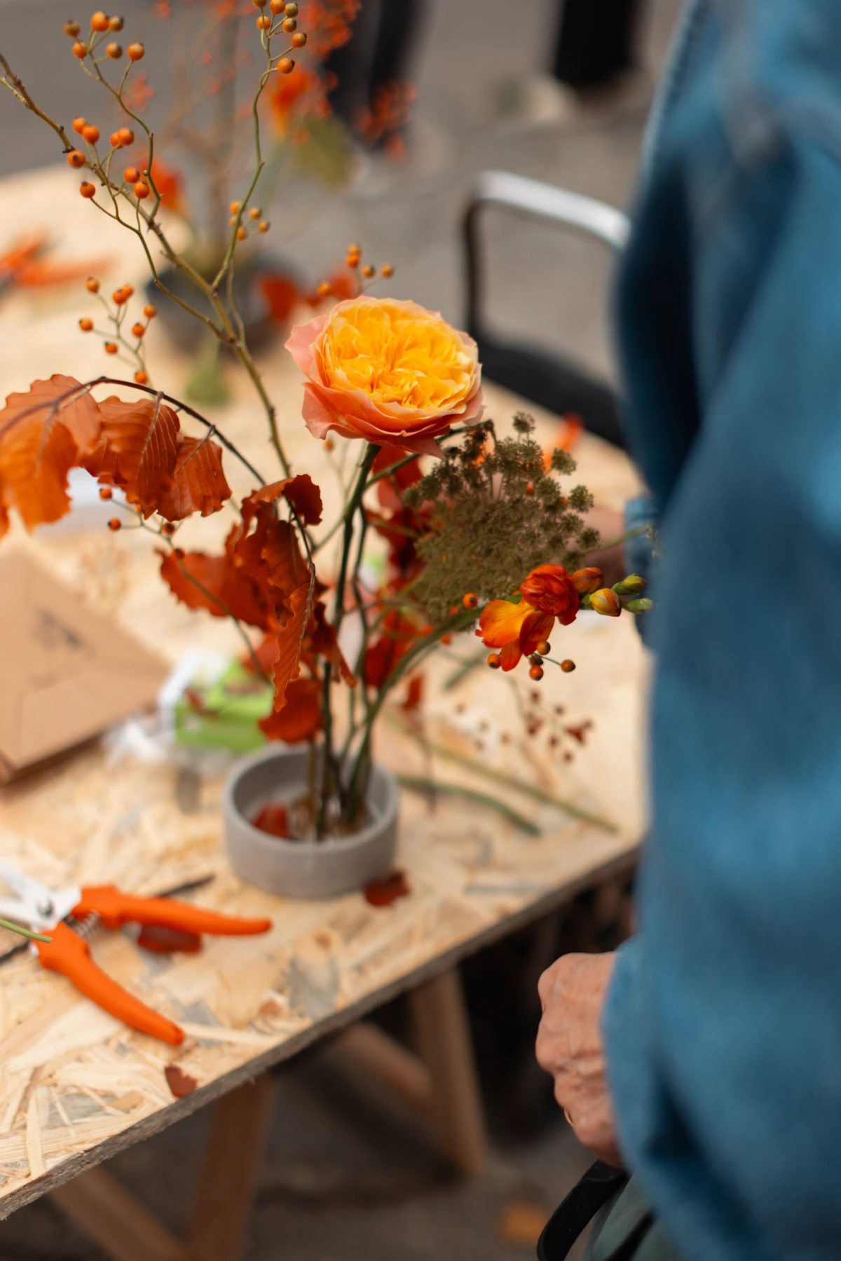 Lexus donio duh Japana u središte Zagreba – Park Martićeva postao oaza kulture i tradicije