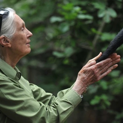 Zašto je Jane Goodall bila toliko važna za cijeli svijet?