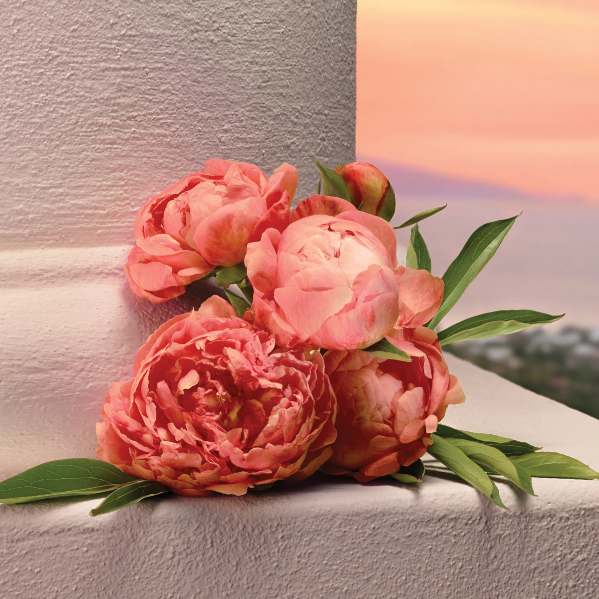 Novi Dolce&amp;Gabbana parfem je intenzivan i strastven poput ljubavi