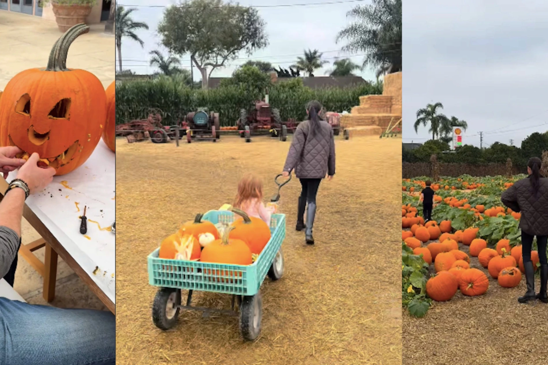 Meghan Markle provela dan u polju bundeva s princem Harryjem, Archiejem i Lilibet