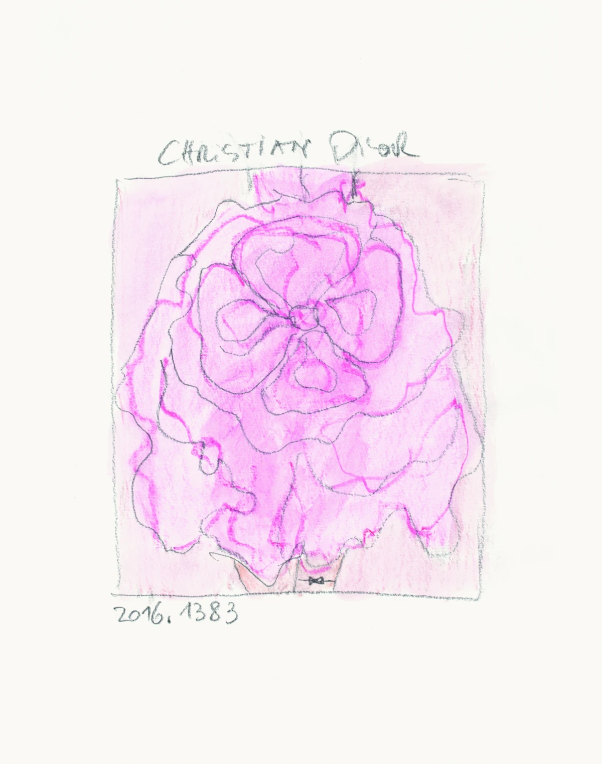 Nova knjiga donosi pogled na Dior kroz objektiv vizionarke Brigitte Niedermair