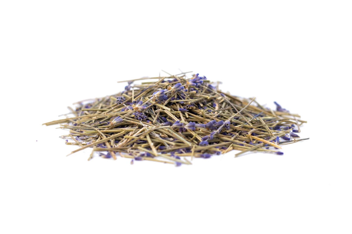 Dizajn koji budi sva vaša osjetila: Organoidi su sve češći odabir dizajnera interijera, a znamo i zašto