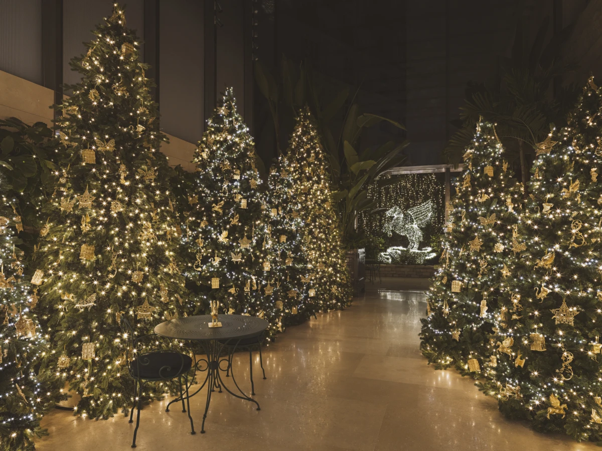 Dior nas je ponovo osvojio čarobnim božićnim izlogom u Parizu