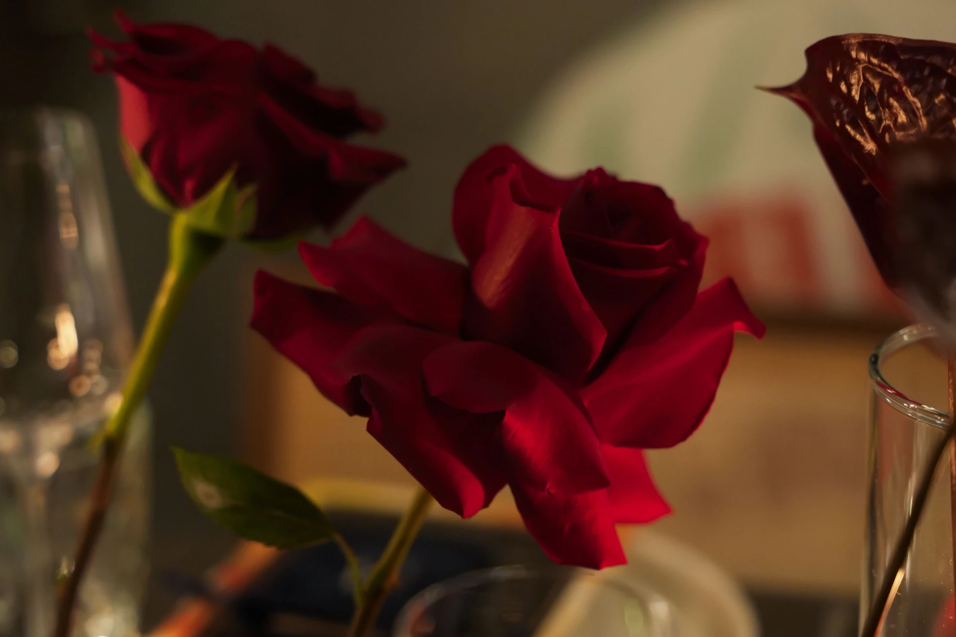 Čarobna blagdanska večera u Zagrebu okupila brojne poznate