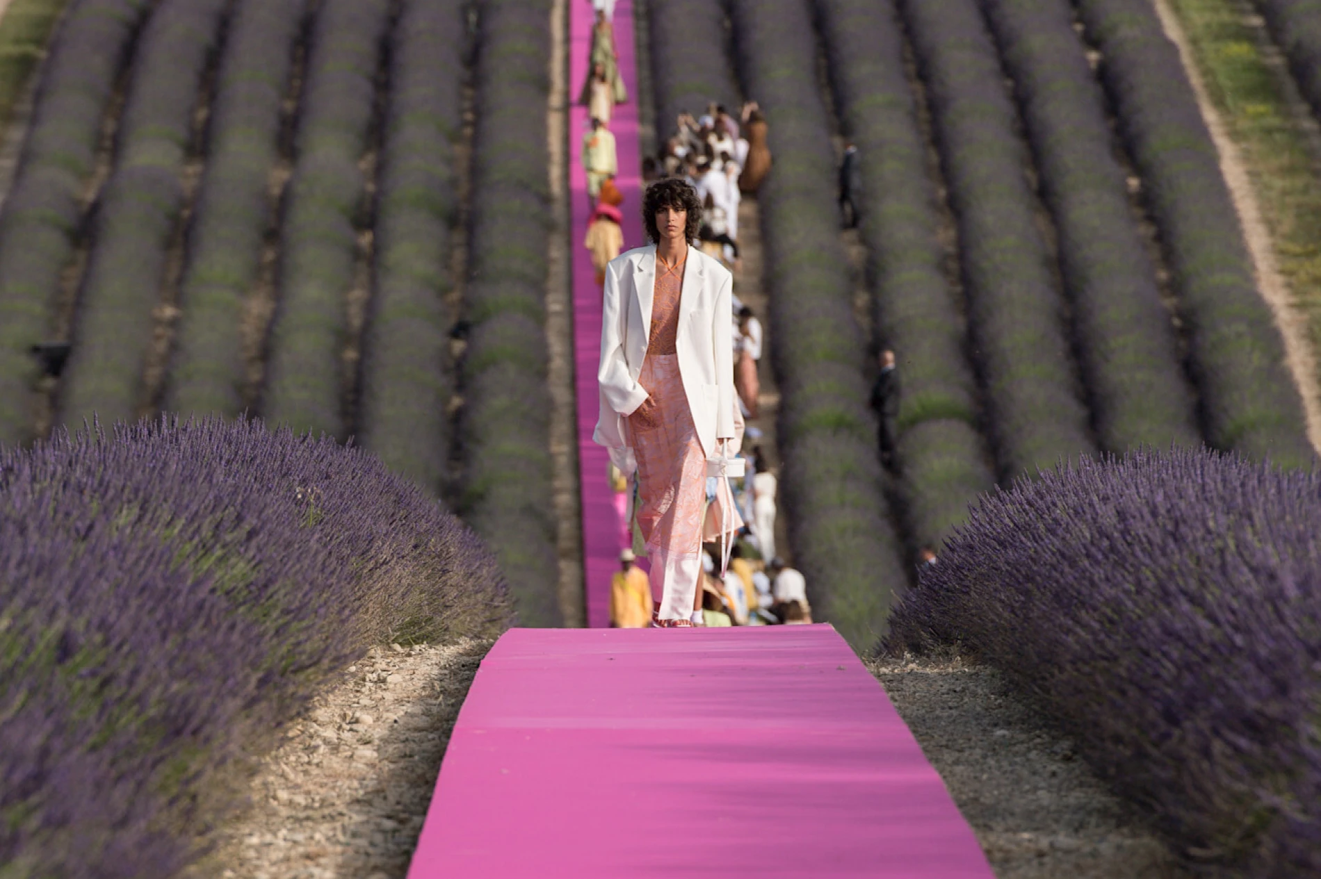 Pronašli smo top 7 parfema s notom lavande