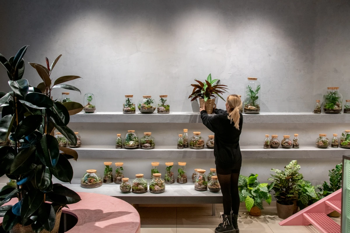 Biljke.Plants otvorio svoj novi zeleni concept store s potpisom dizajnerskog studija 9HZ