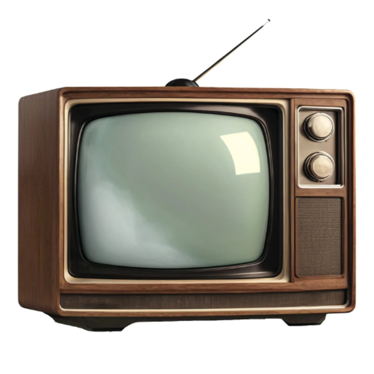 Pi&scaron;e Zrinka Pavlić: Televizija - od stupid boxa do vladarice industrije zabave