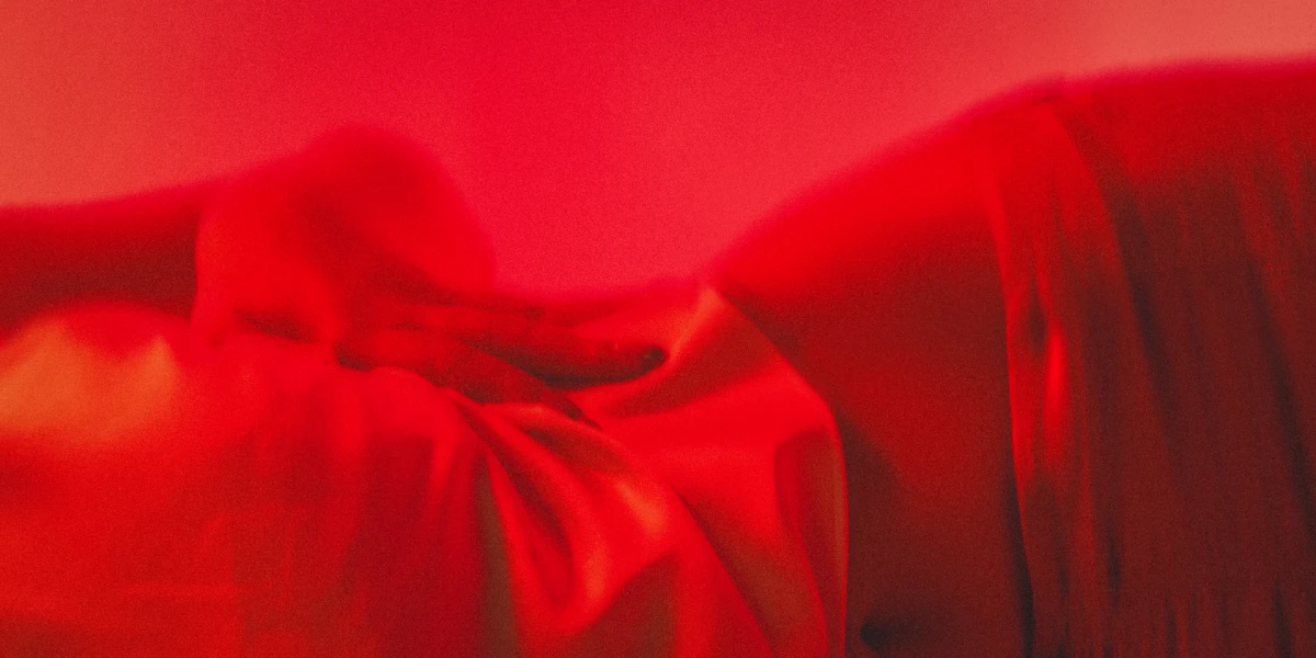 Ovo su gosti na Nelinom koncertu u Petom kupeu