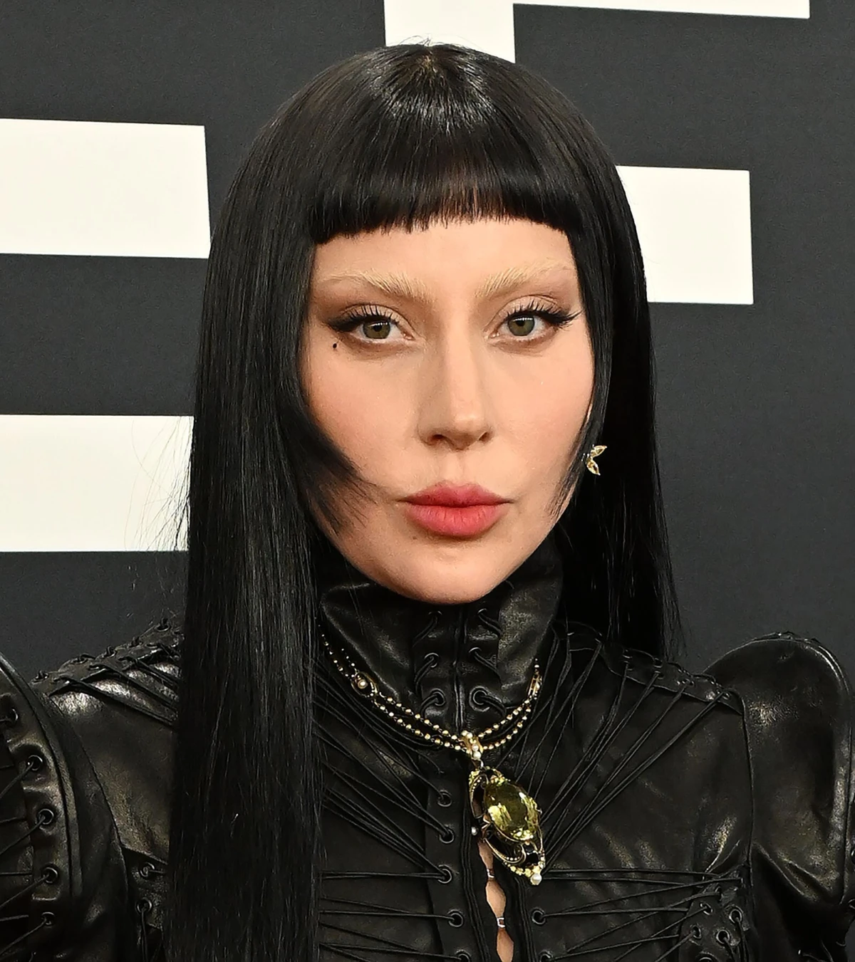 Sve zvijezde koje ćemo vidjeti na pozornici Grammy 2026. nagrada