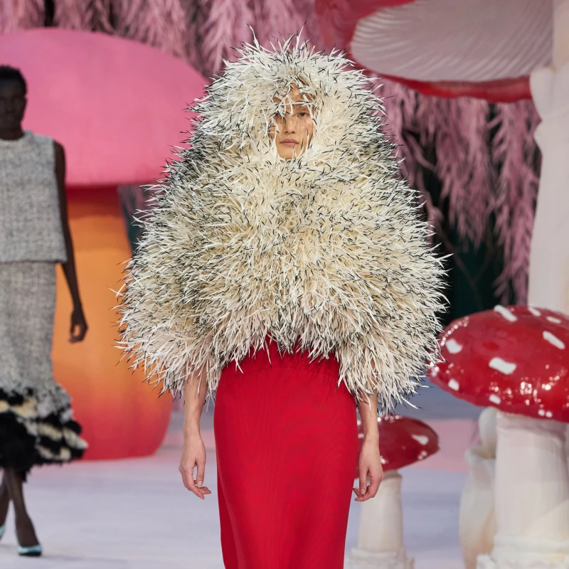 Za&scaron;to je moda odjednom opsjednuta pticama?