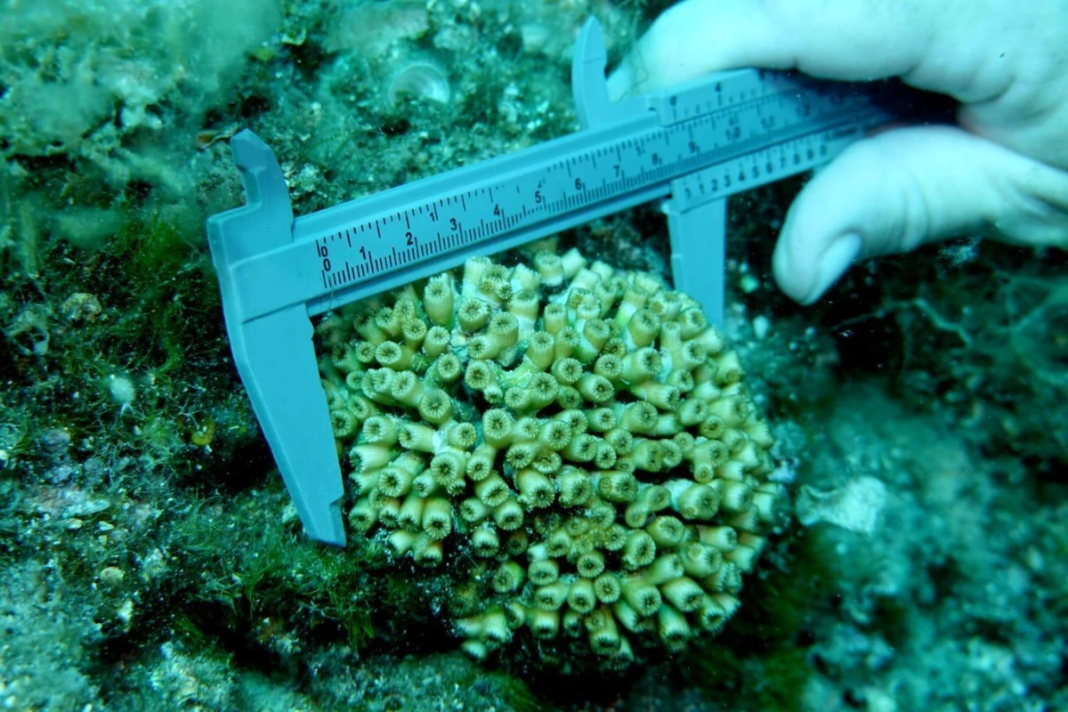 Zaklada za okoli&scaron; dalmatinskih otoka dovodi osnivača globalne mreže Conservation Collective