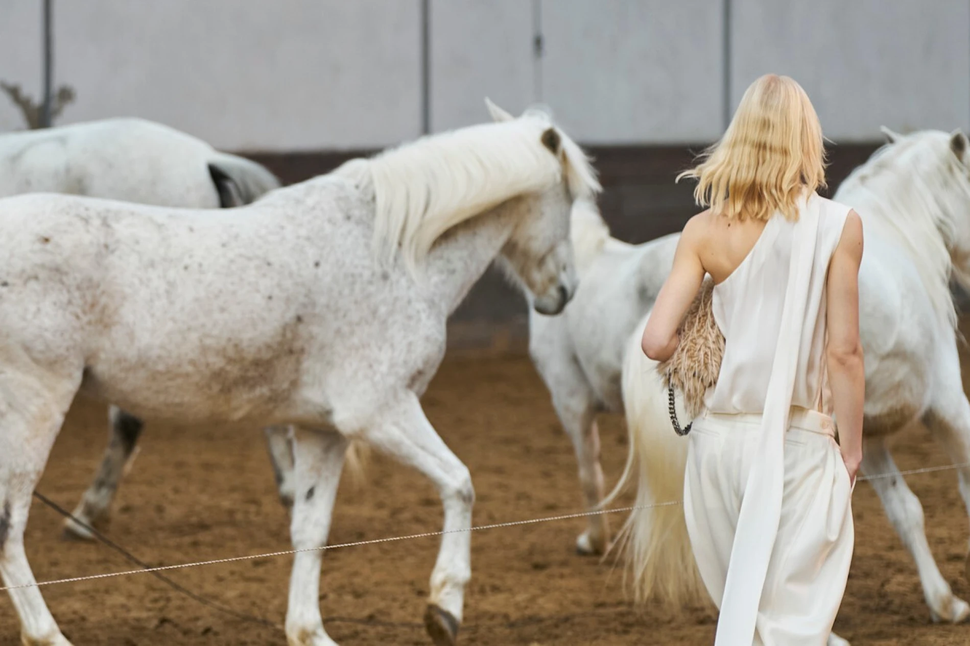 Godina Konja: &Scaron;to donosi i kako iskoristiti njenu energiju?