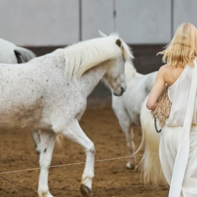 Godina Konja: &Scaron;to donosi i kako iskoristiti njenu energiju?
