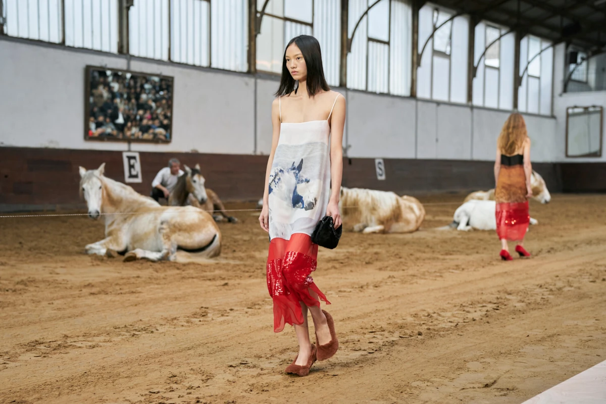 Godina Konja: &Scaron;to donosi i kako iskoristiti njenu energiju?